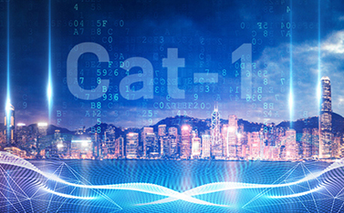 工信部重磅發(fā)文，Cat-1/NB-IoT再次站上新風(fēng)口