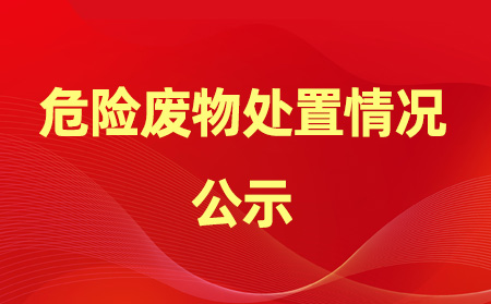 2024年危險(xiǎn)廢物產(chǎn)生、處置情況公示